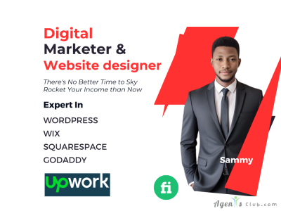 Website design expert