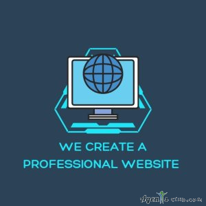 We Create a Professional Website.