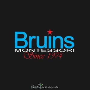 Bruins Montessori USA Inc