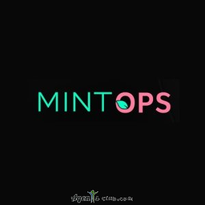 Mint Ops