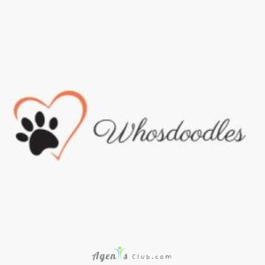WhosDoodles