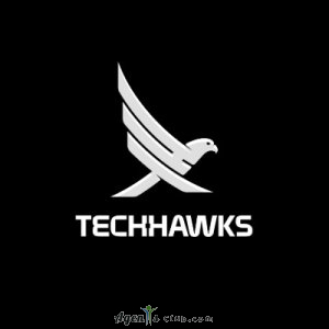 TechHawks Consulting OÜ
