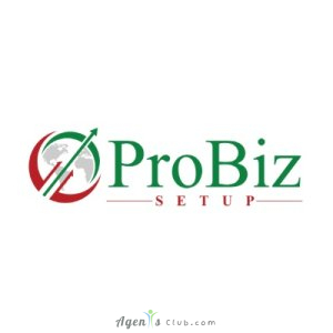 ProBiz Setup