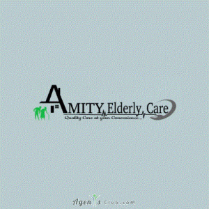 Amity Elderly Care Services LLC