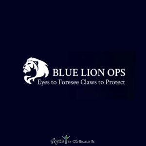 Blue Lion Ops