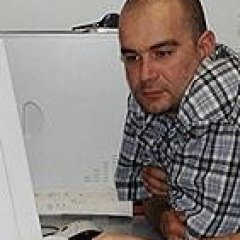 SEO Consult