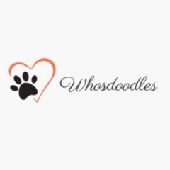 WhosDoodles